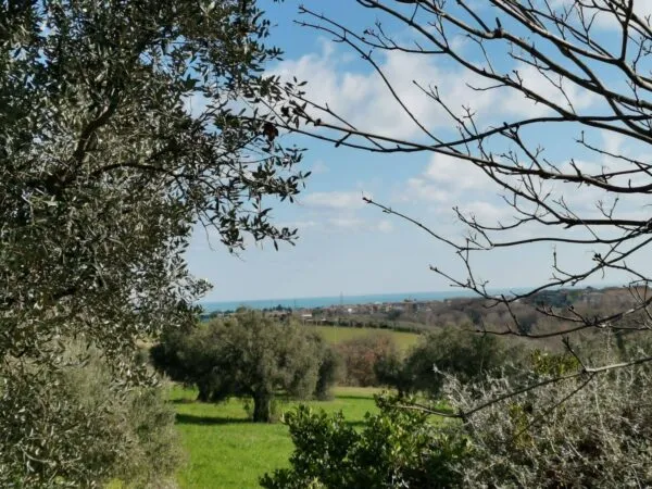 Rustico/Casale Porto Sant'Elpidio