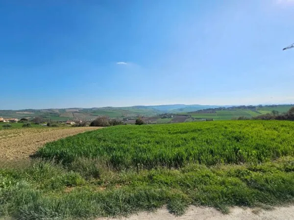Immagine per Villa in vendita a Fermo