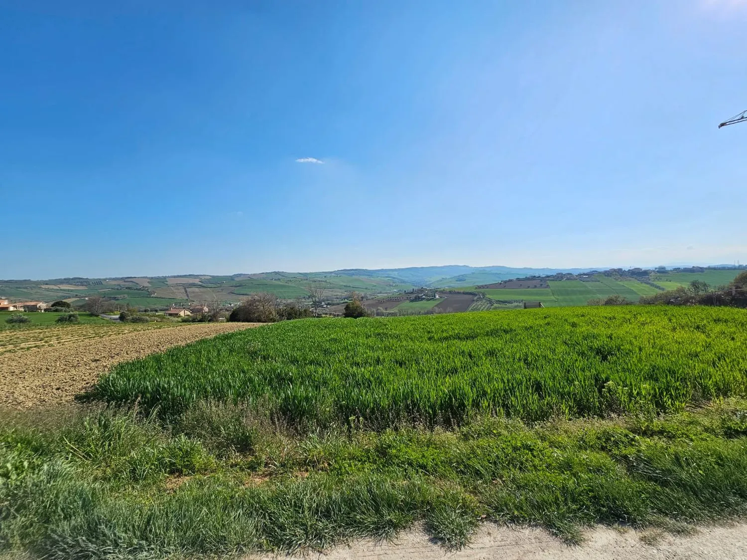 Immagine per Villa in vendita a Fermo