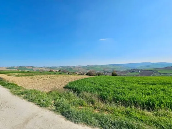 Immagine per Villa in vendita a Fermo