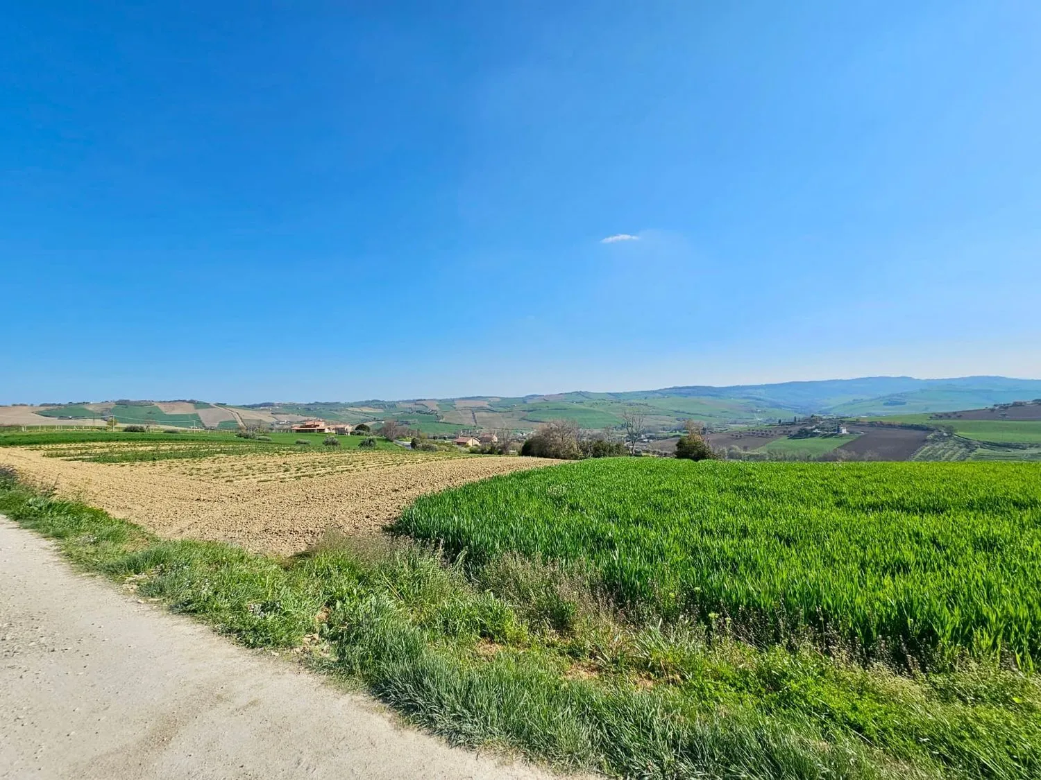 Immagine per Villa in vendita a Fermo