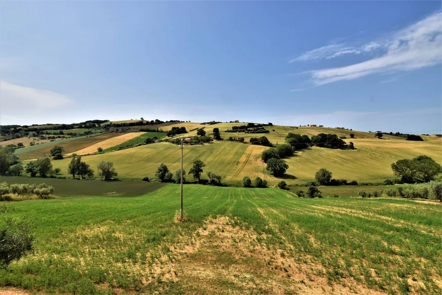 Immagine per Casa indipendente in vendita a Fermo
