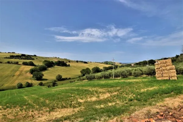 Casa Indipendente Fermo