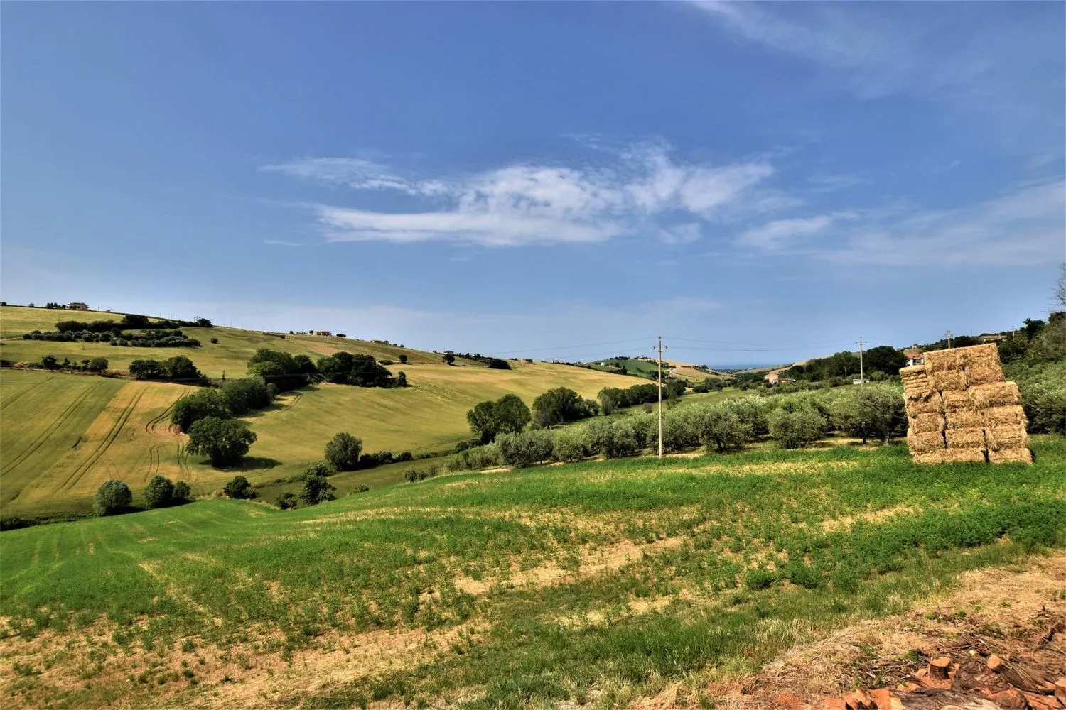 Immagine per Casa indipendente in vendita a Fermo