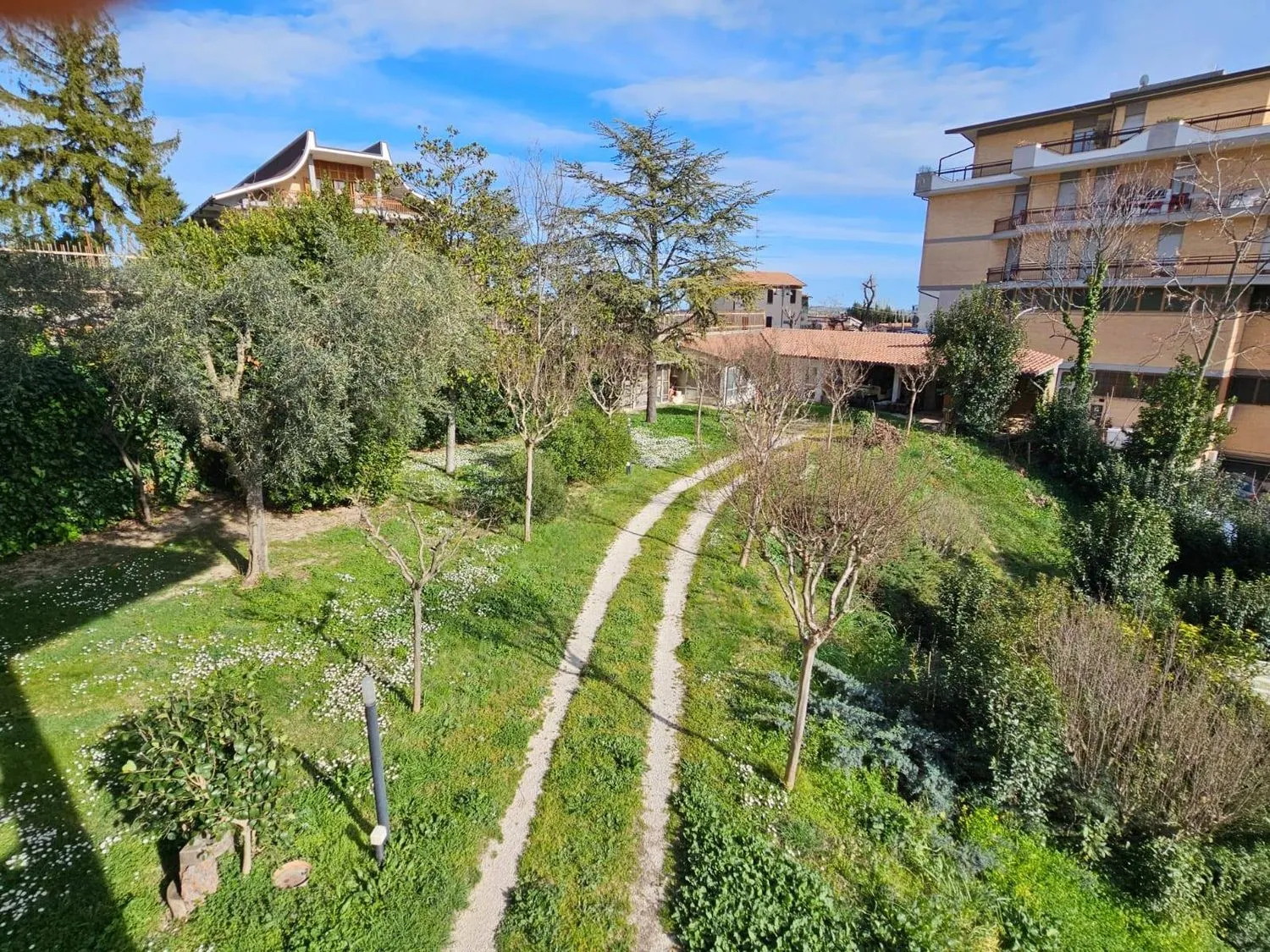 Immagine per Appartamento in vendita a Montegranaro