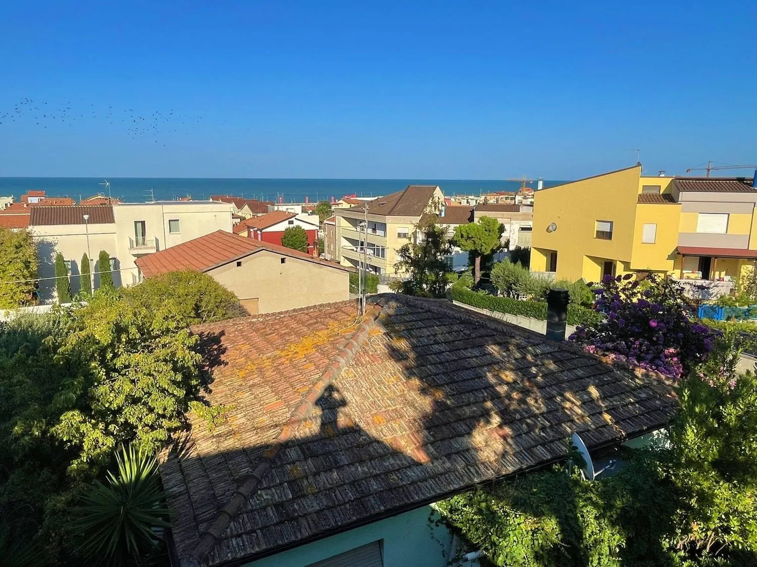 Immagine per Villa in vendita a Civitanova Marche
