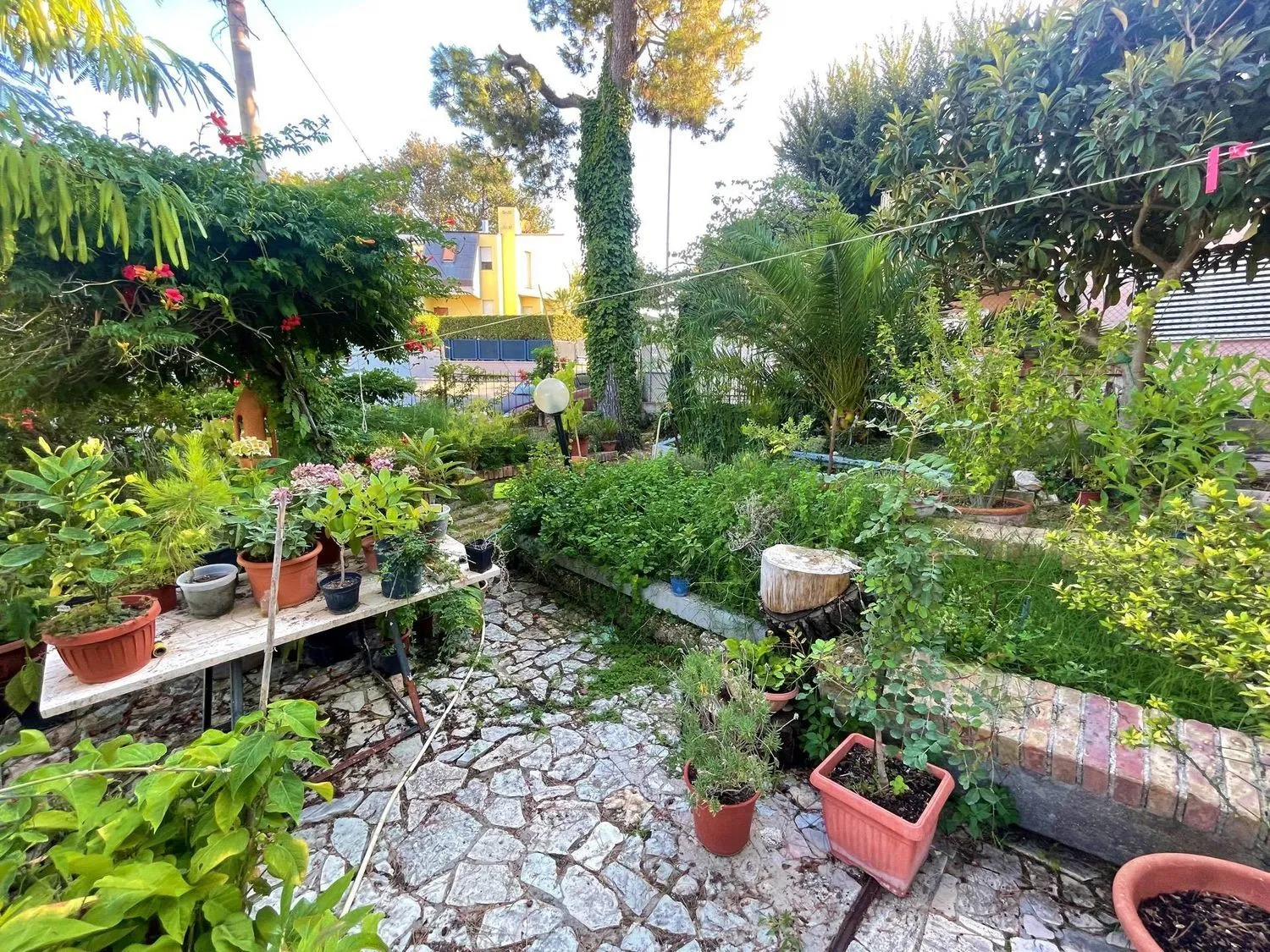 Immagine per Villa in vendita a Civitanova Marche