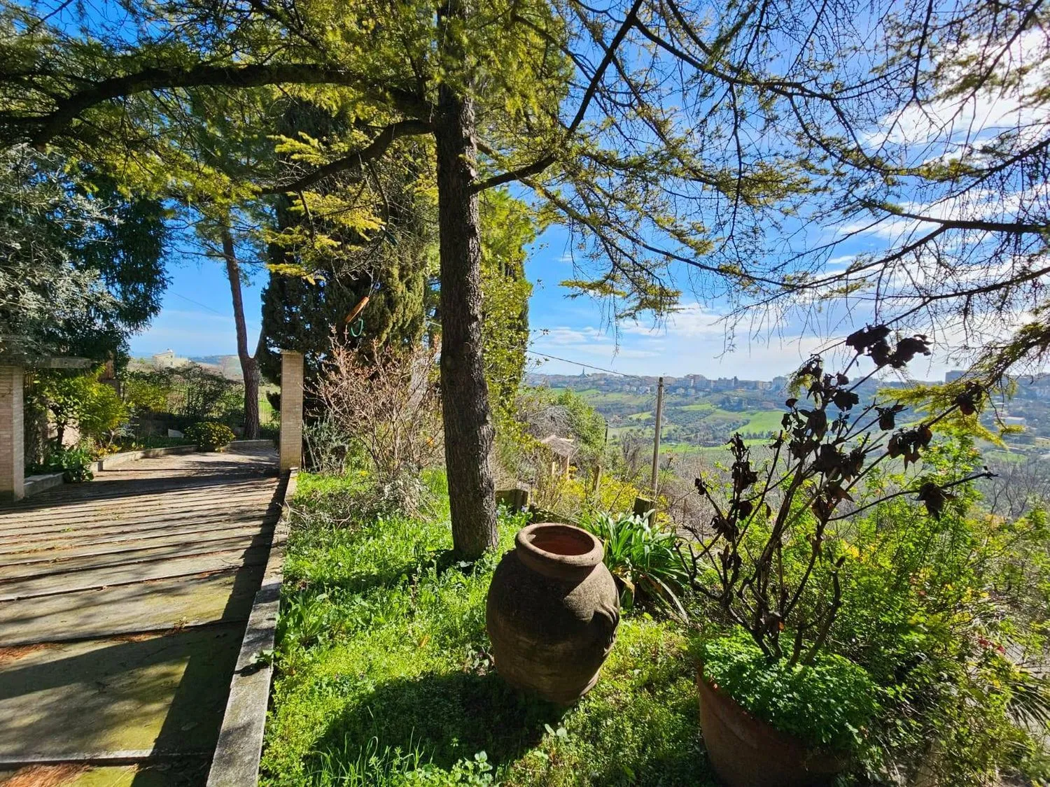 Immagine per Villa in vendita a Fermo