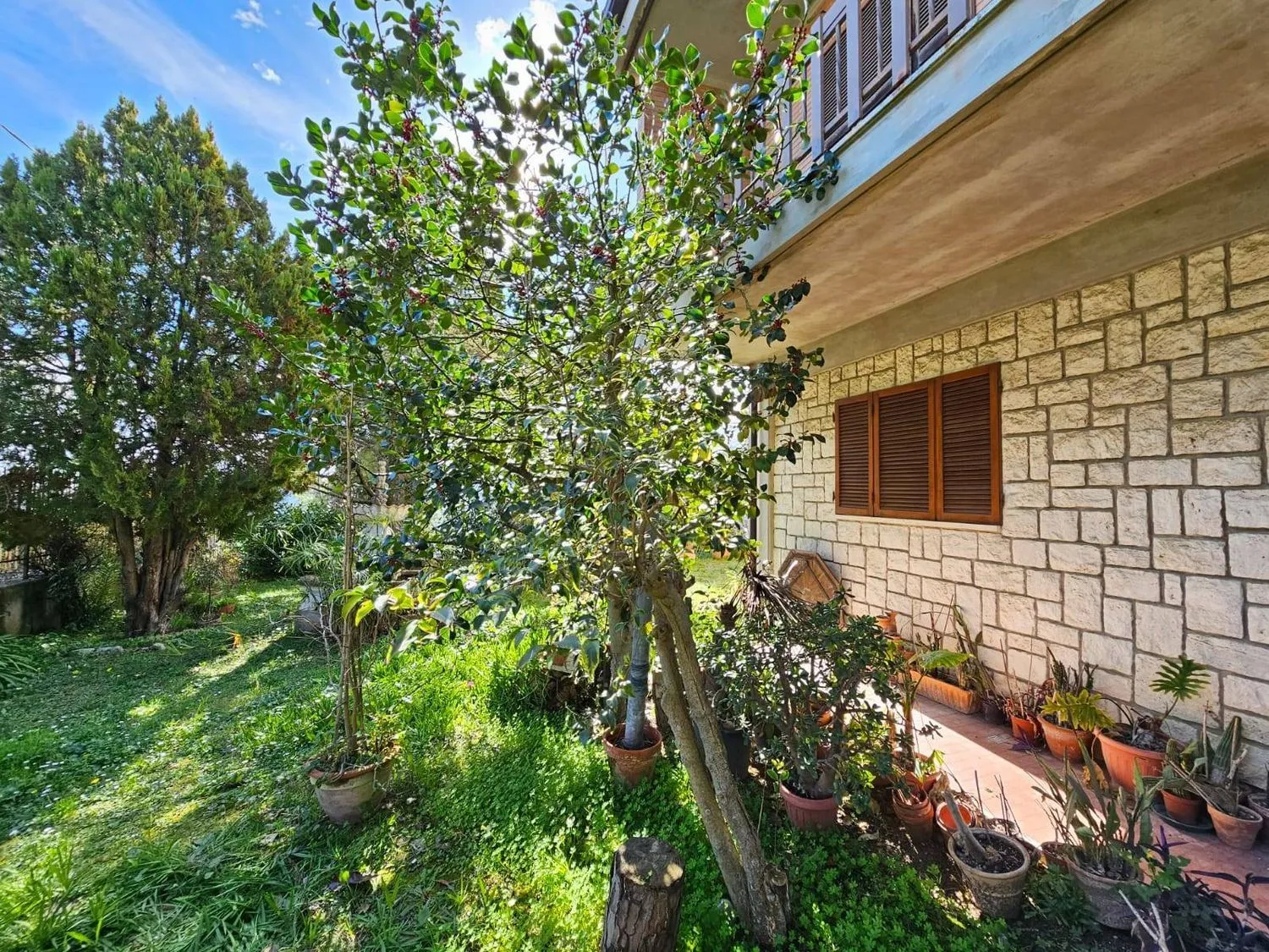 Immagine per Villa in vendita a Fermo