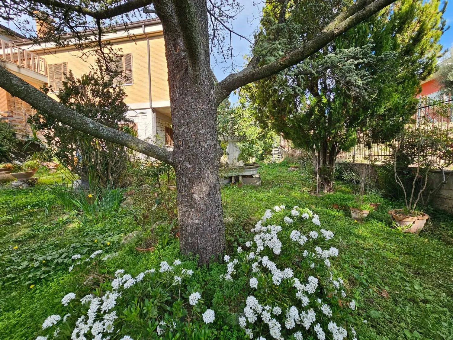 Immagine per Villa in vendita a Fermo