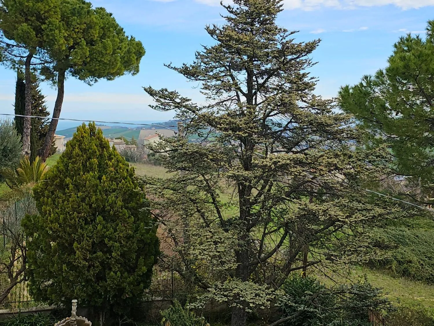 Immagine per Villa in vendita a Fermo