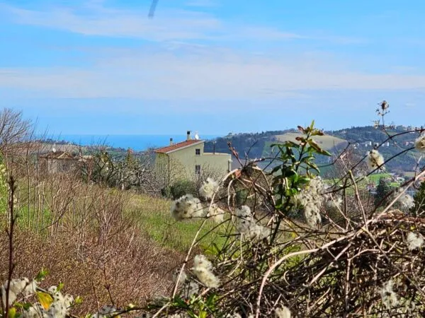 Villa Fermo