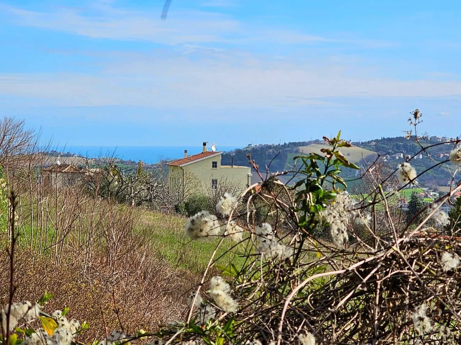 Immagine per Villa in vendita a Fermo