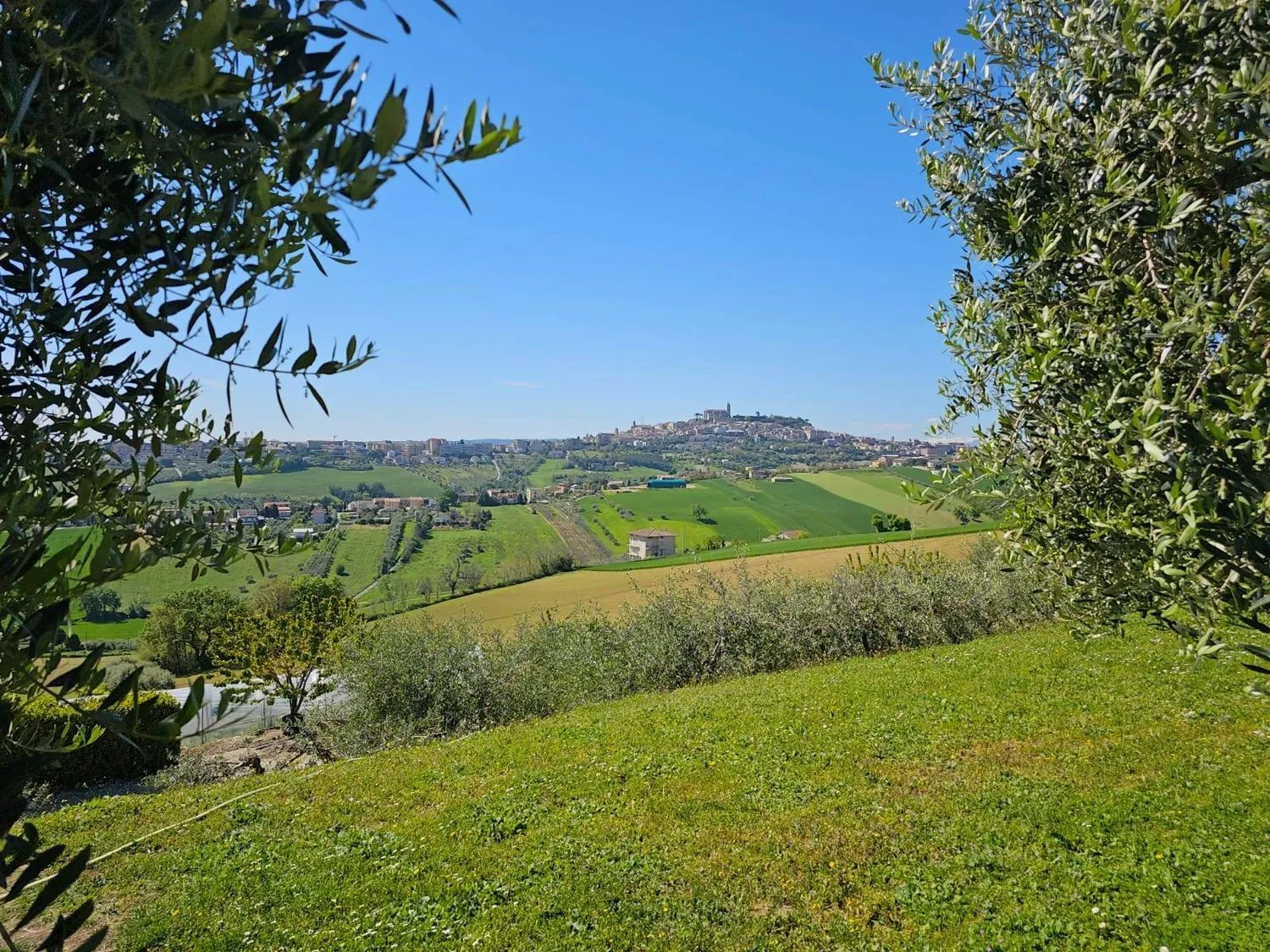 Immagine per Villa in vendita a Fermo