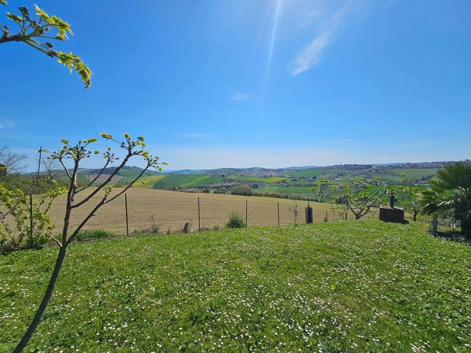 Immagine per Villa in vendita a Fermo