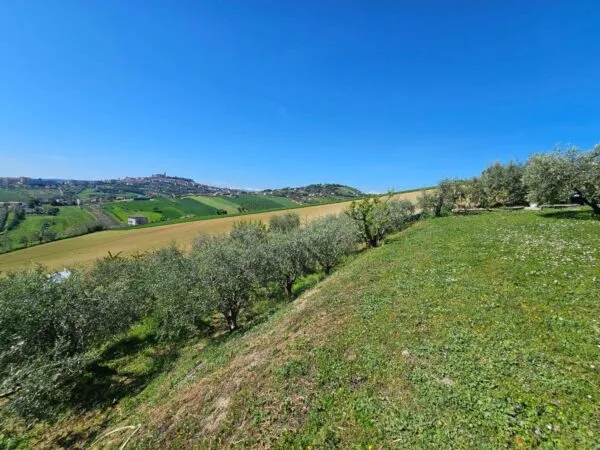 Villa Fermo