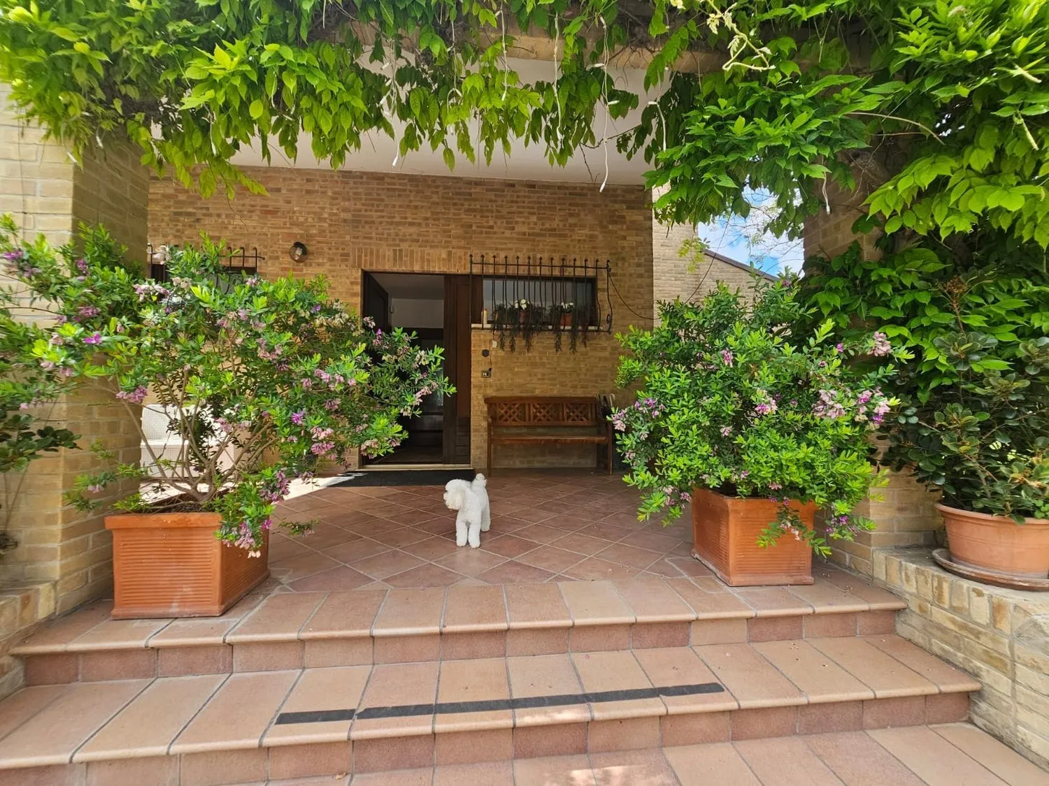 Immagine per Villa in vendita a Fermo Castelletta 