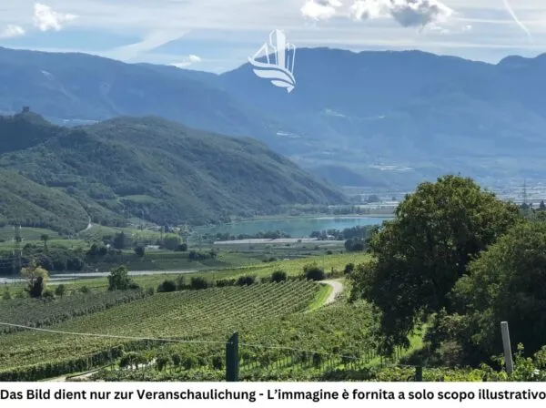 Terreno Edificabile Caldaro Sulla Strada Del Vino