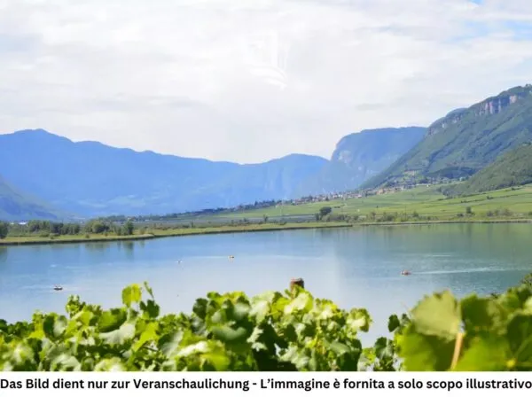 Terreno Edificabile Caldaro Sulla Strada Del Vino