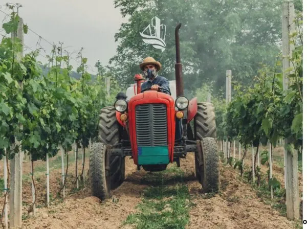 Terreno Agricolo Laives