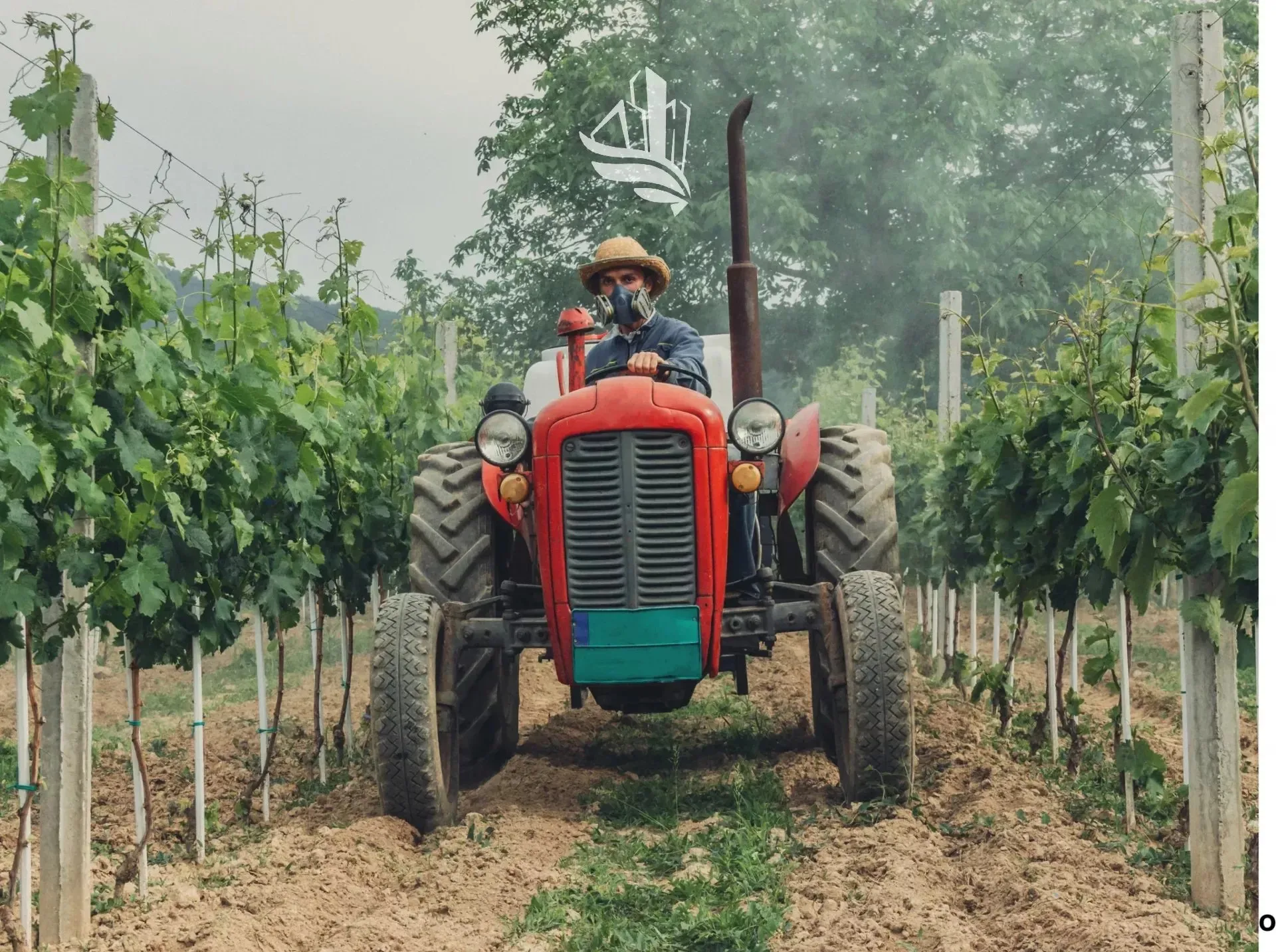 Immagine per Terreno agricolo in vendita a Laives