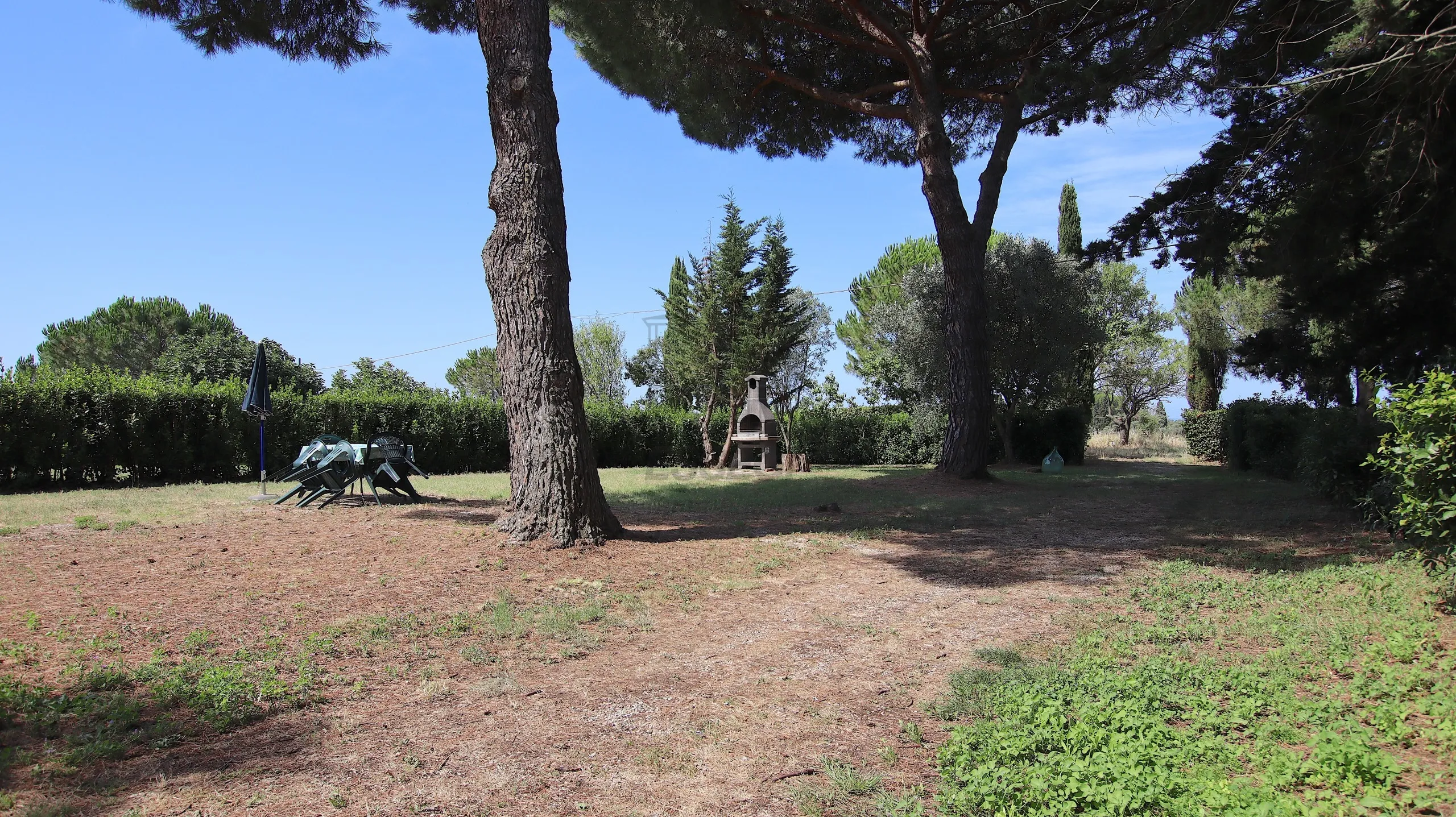 Immagine per Casale in vendita a Cecina via Gorizia 39