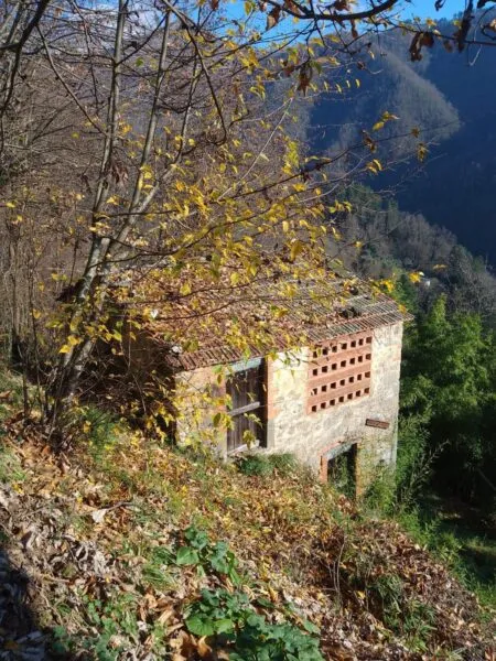Casale via Località Capanne Dei Mattoni 8, Bagni Di Lucca