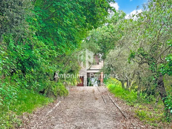 Villa via Della Torre, Paciano