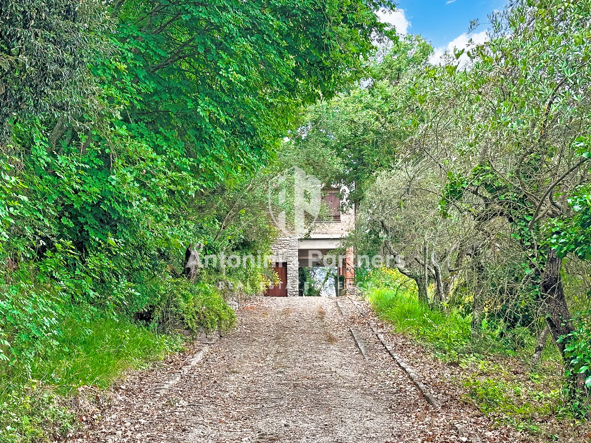 Immagine per Villa in vendita a Paciano via Della Torre
