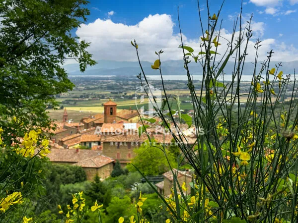 Villa via Della Torre, Paciano