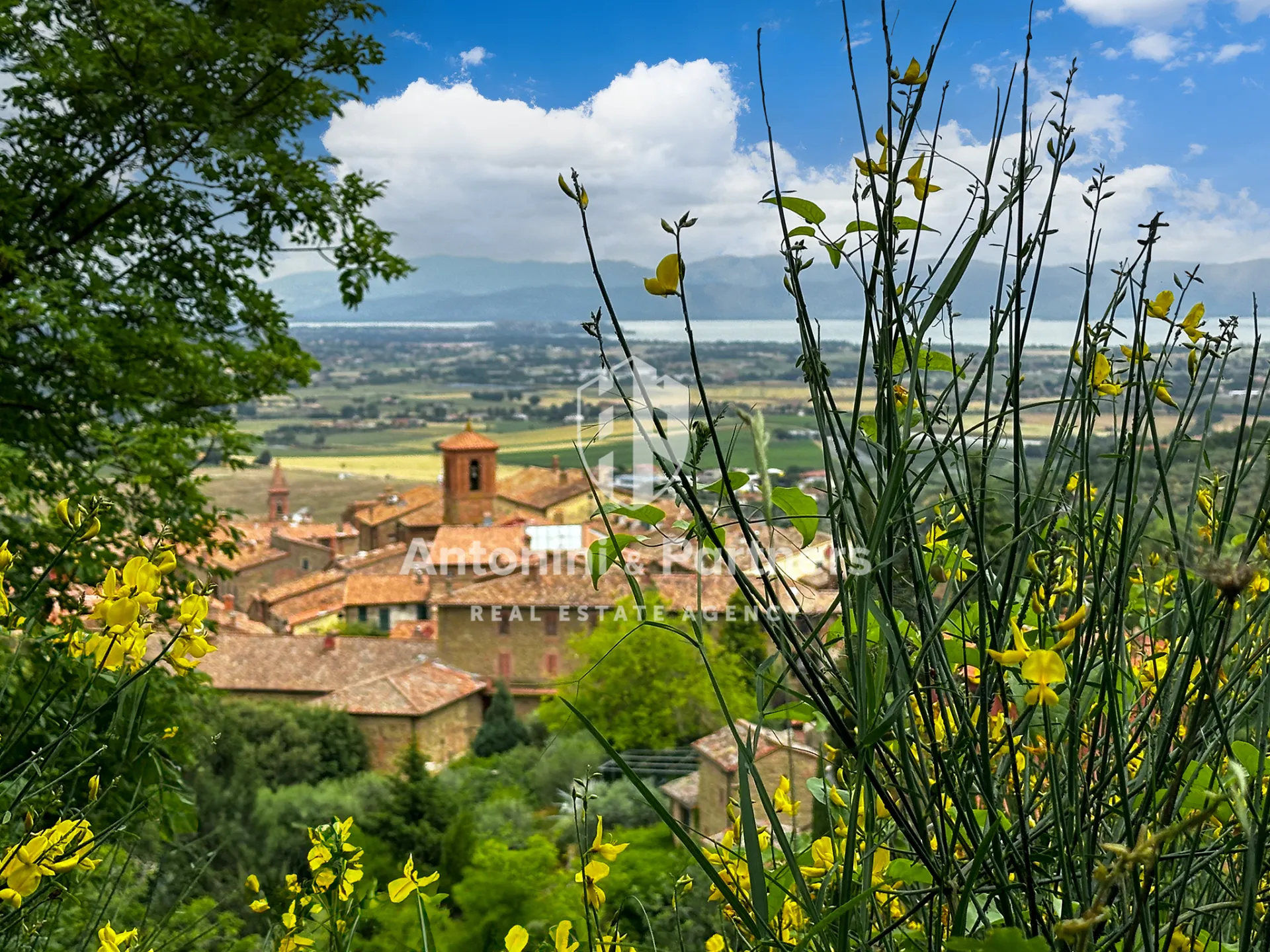 Immagine per Villa in vendita a Paciano via Della Torre