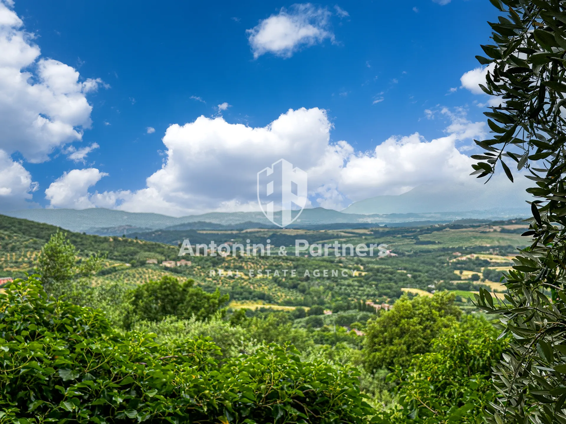 Immagine per Villa in vendita a Paciano via Della Torre