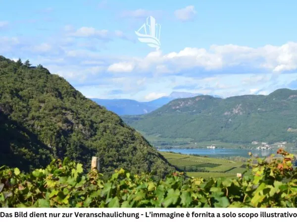Terreno Edificabile Caldaro Sulla Strada Del Vino