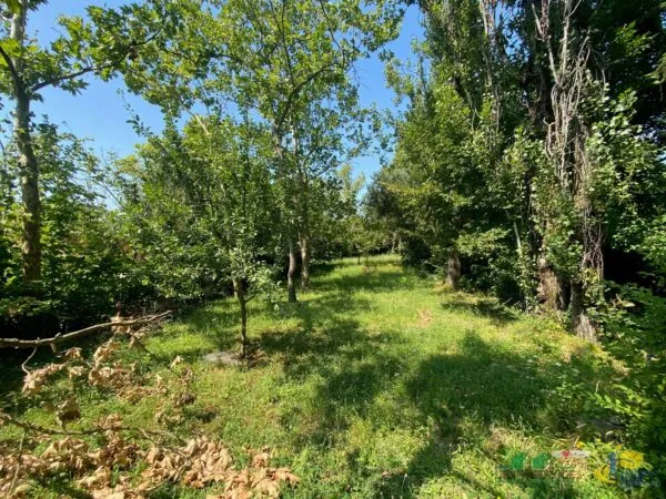 Trilocale via Varano, Medesano