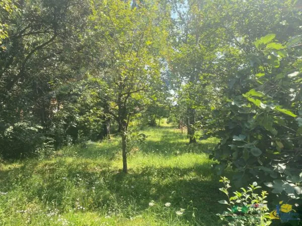 Trilocale via Varano, Medesano