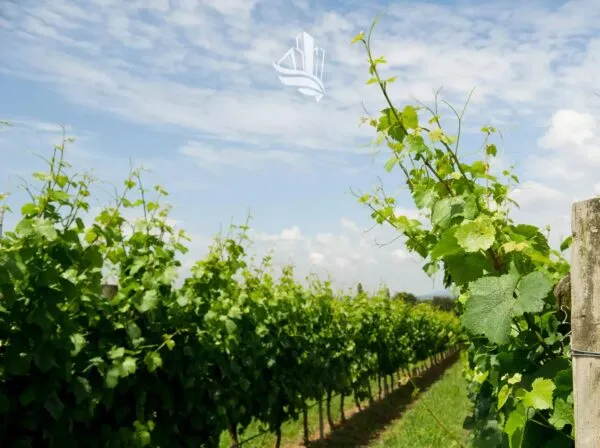 Terreno Agricolo Laives