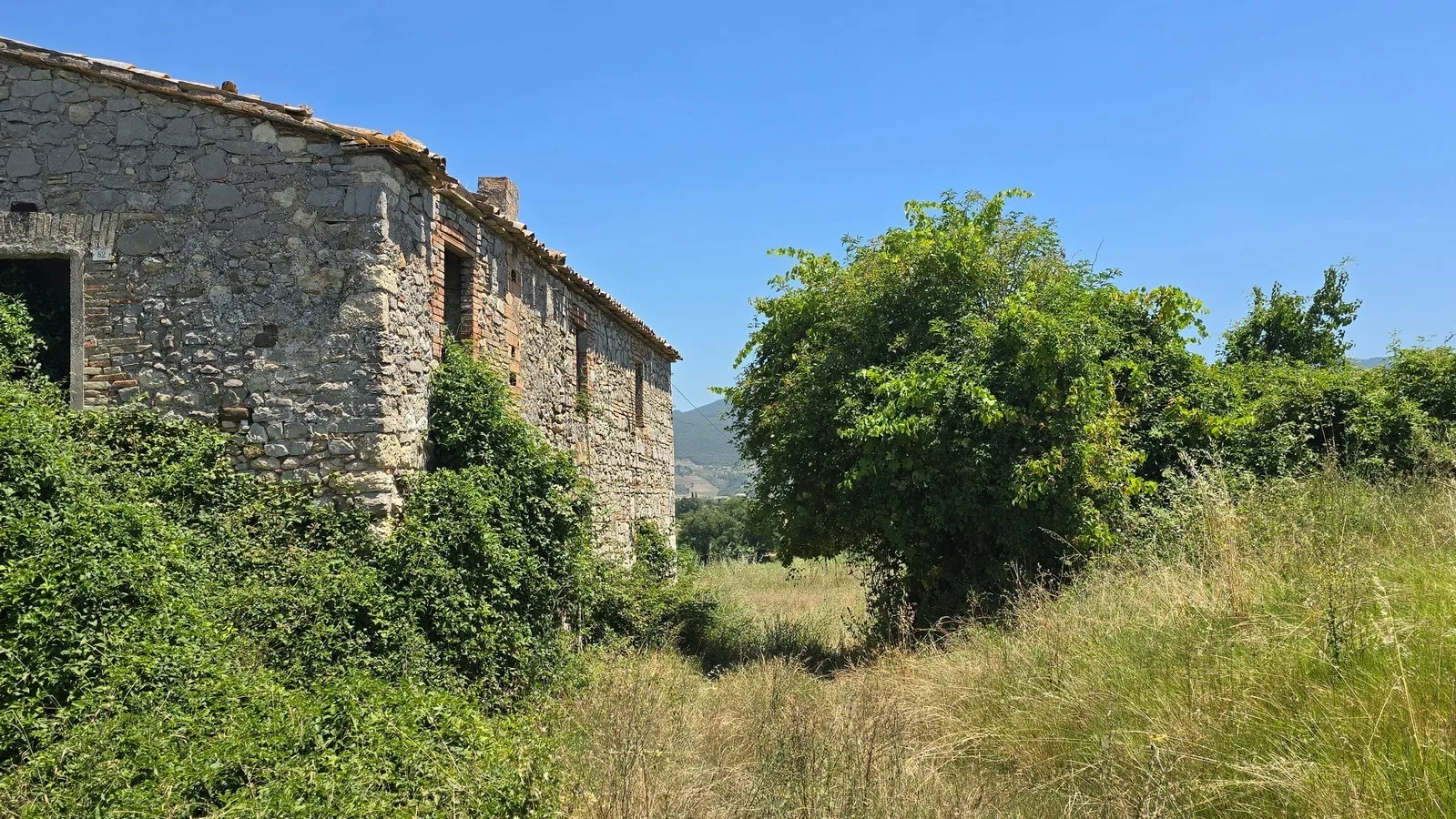 Immagine per Casale in vendita a Baschi strada Provinciale 92