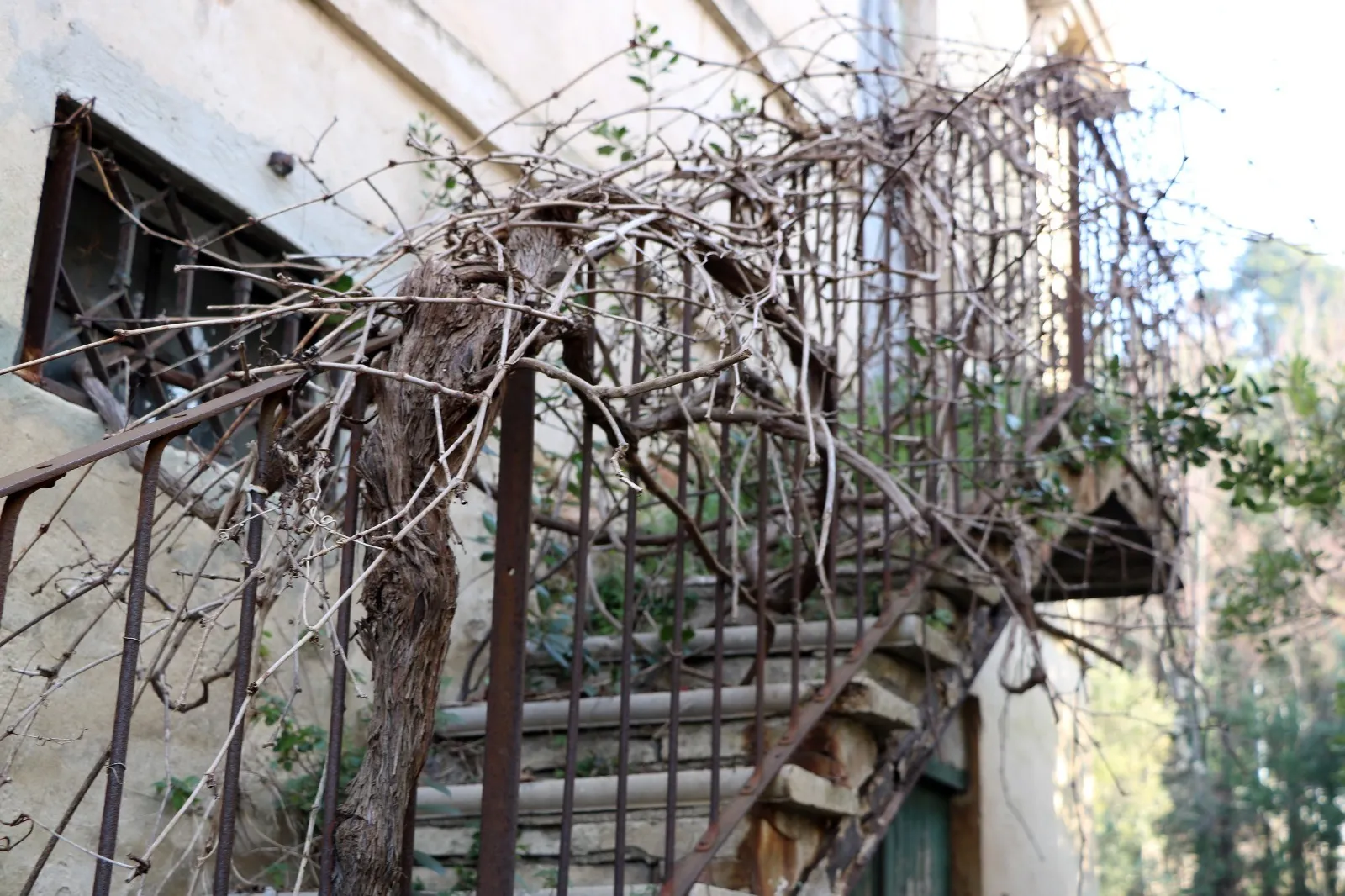 Immagine per Rustico in vendita a Osimo via Osimo