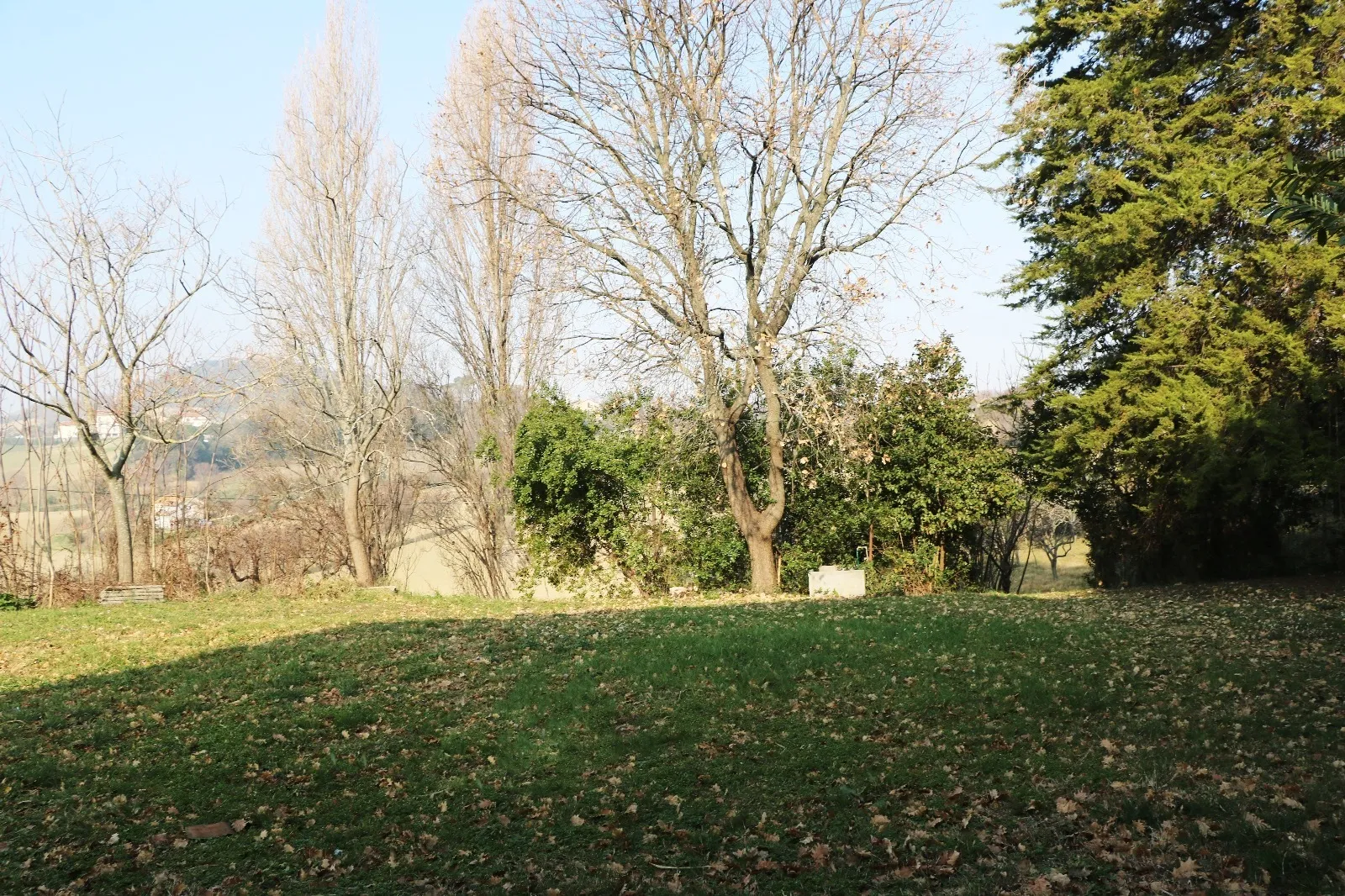 Immagine per Rustico in vendita a Osimo via Osimo
