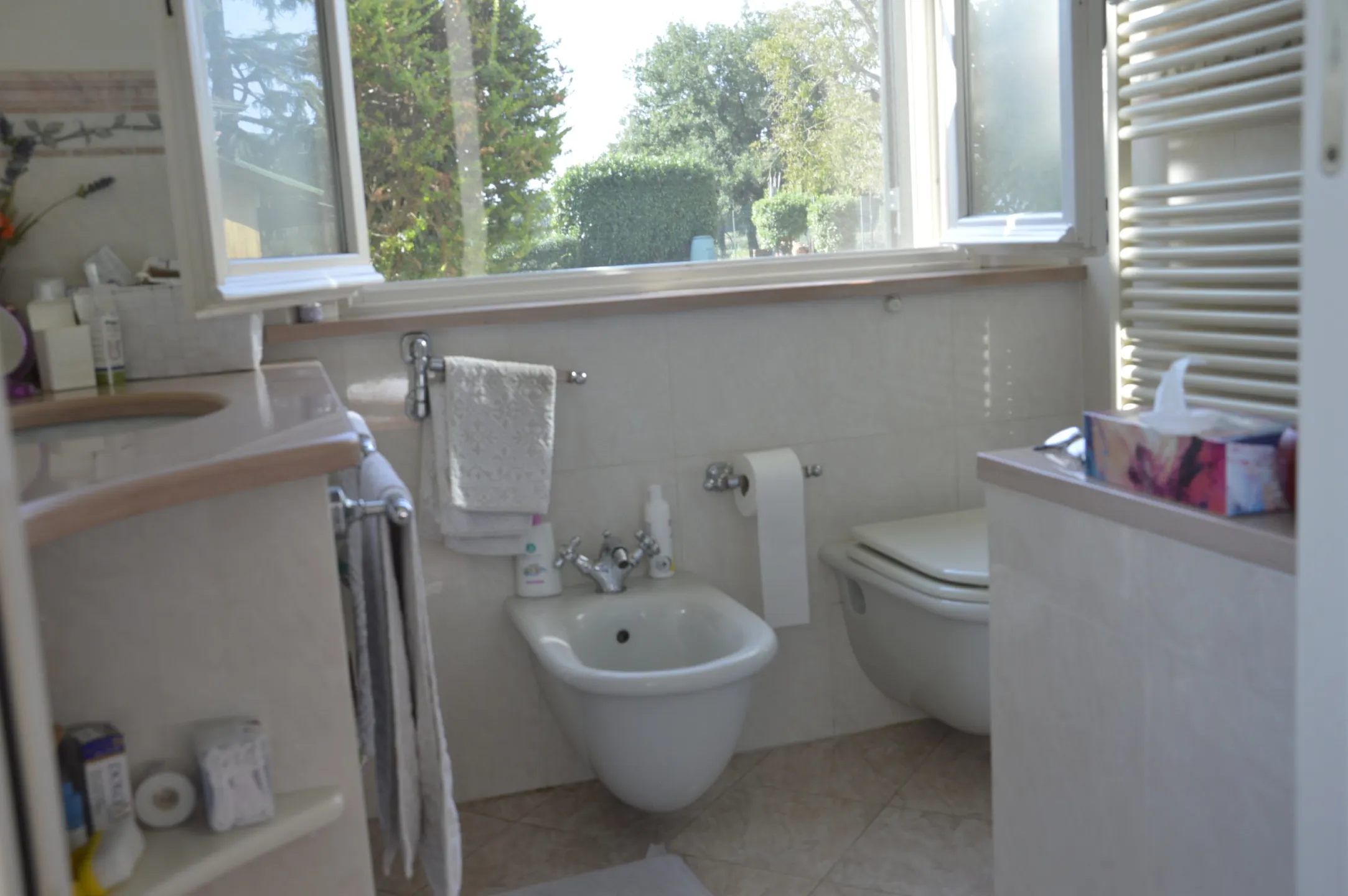 Immagine per Villa in vendita a Lucca