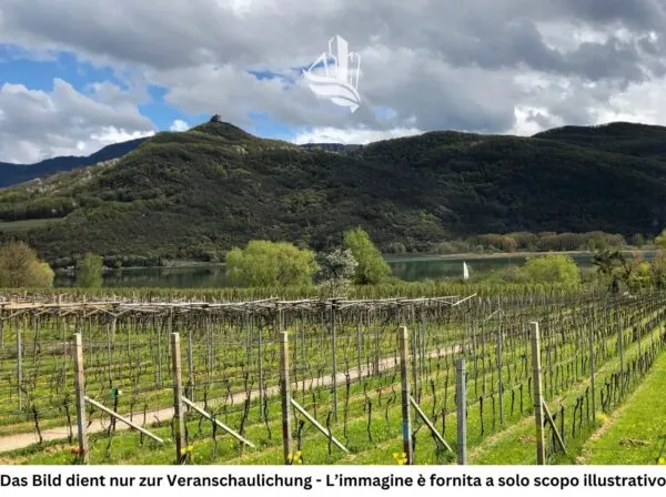 Terreno Edificabile Caldaro Sulla Strada Del Vino