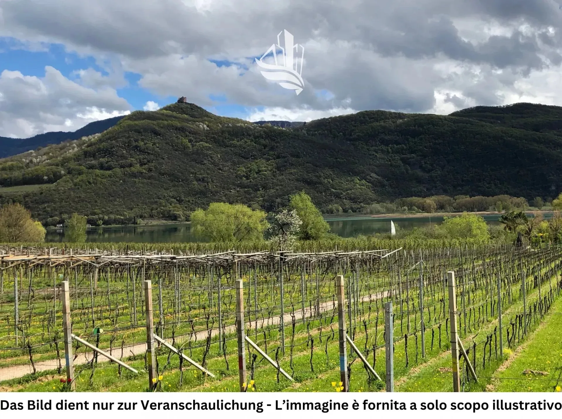 Immagine per Terreno edificabile in vendita a Caldaro sulla strada del vino