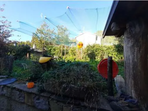 Appartamento via Snc, Zignago