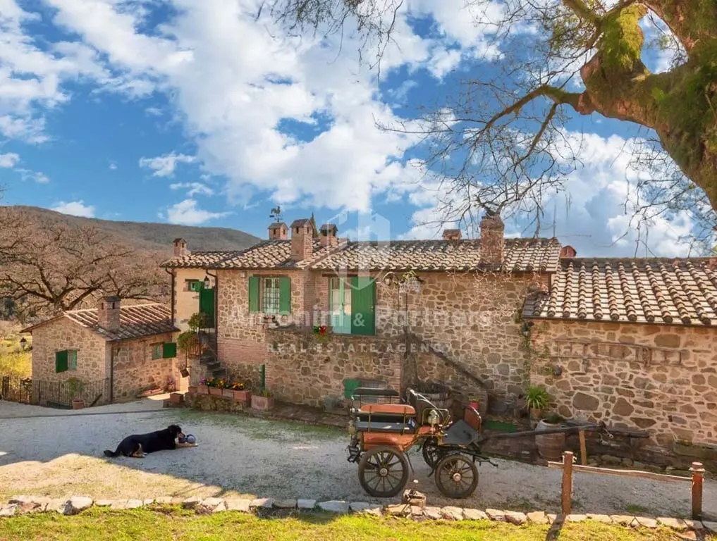 Immagine per Casale in vendita a Città della Pieve strada Provinciale 309