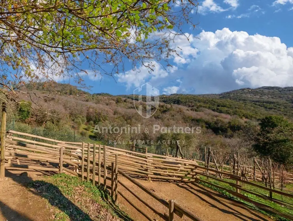 Immagine per Casale in vendita a Città della Pieve strada Provinciale 309