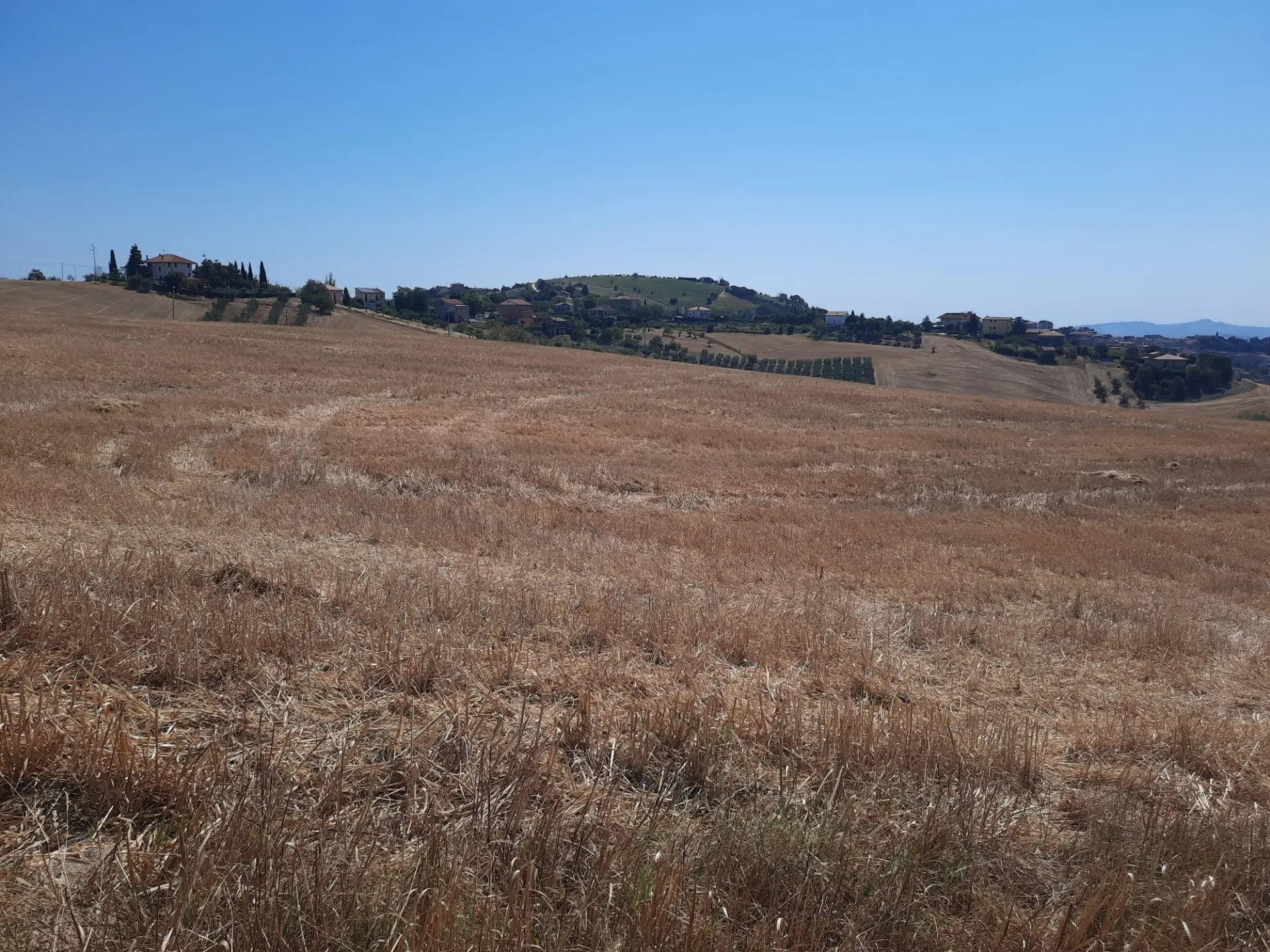 Immagine per Agricolo in vendita a Offida via Sp 17