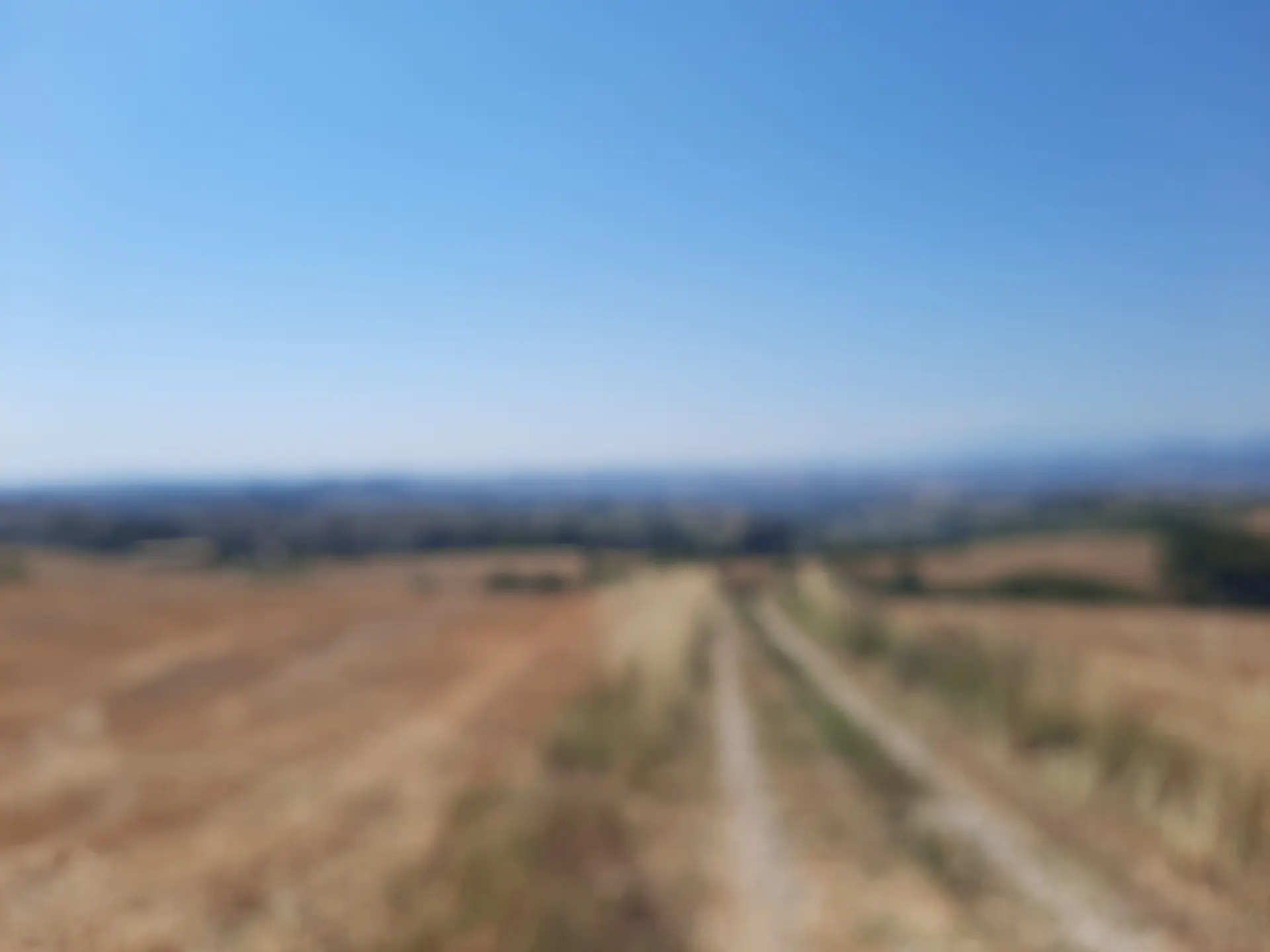 Immagine per Agricolo in vendita a Offida via Sp 17