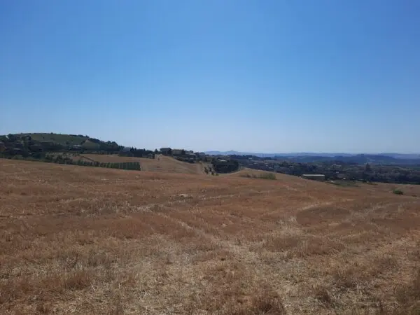 Agricolo via Sp 17, Offida