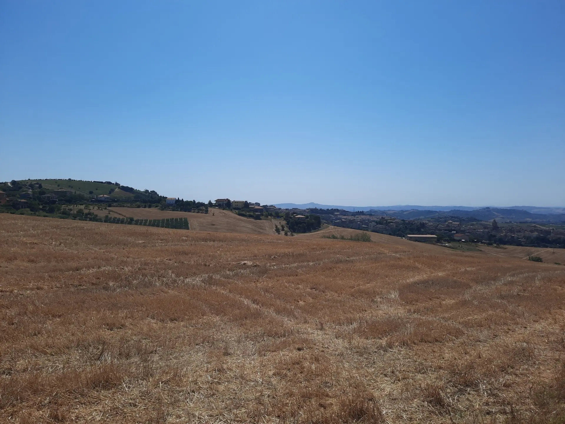 Immagine per Agricolo in vendita a Offida via Sp 17