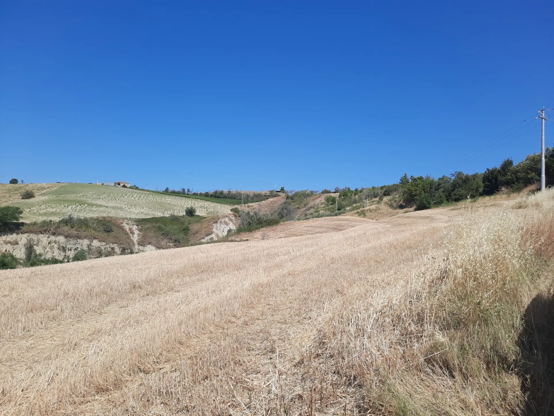 Immagine per Agricolo in vendita a Offida via Sp 17